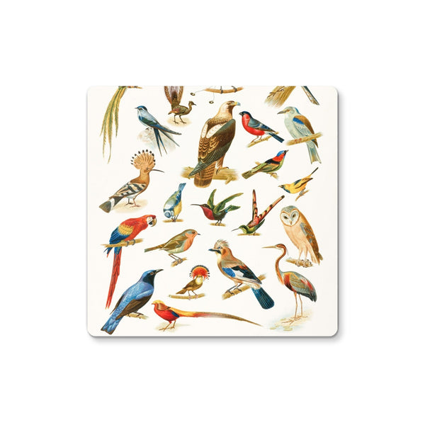 Birds of Paradise Coaster