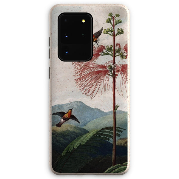 Calliandra Houstoniana Eco Phone Case