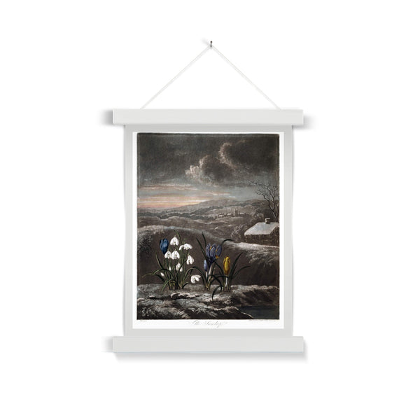 Snowdrops Fine Art Print with Hanger