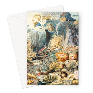 Ocean Life Greeting Card