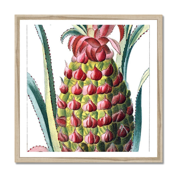 Pineapple Framed Print