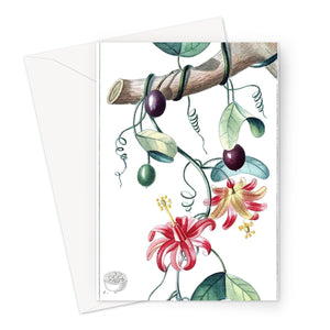 Passionvine Greeting Card