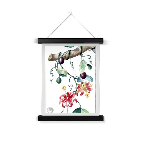 Passionvine Fine Art Print with Hanger