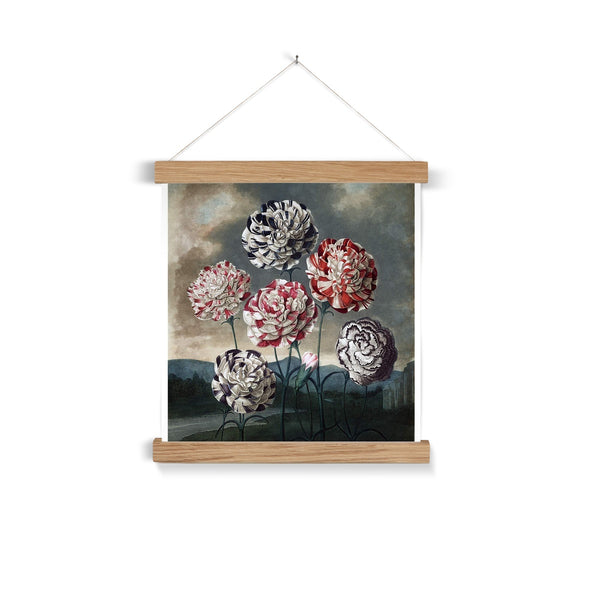 Carnations Fine Art Print with Hanger