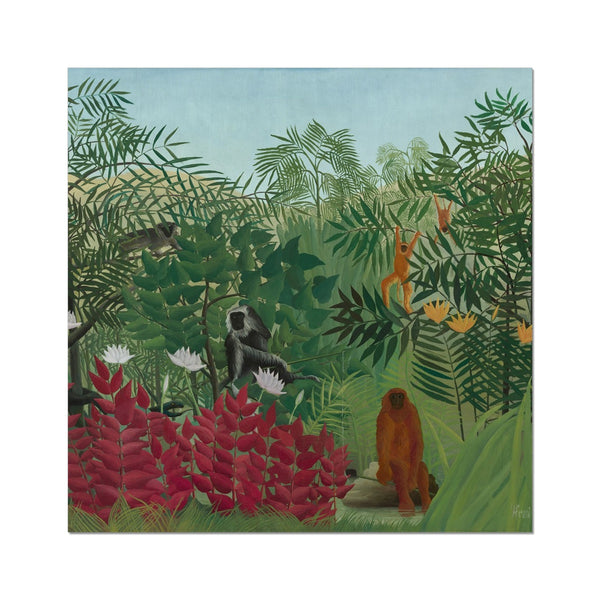 Tropical Forest & Monkeys Wall Art Poster