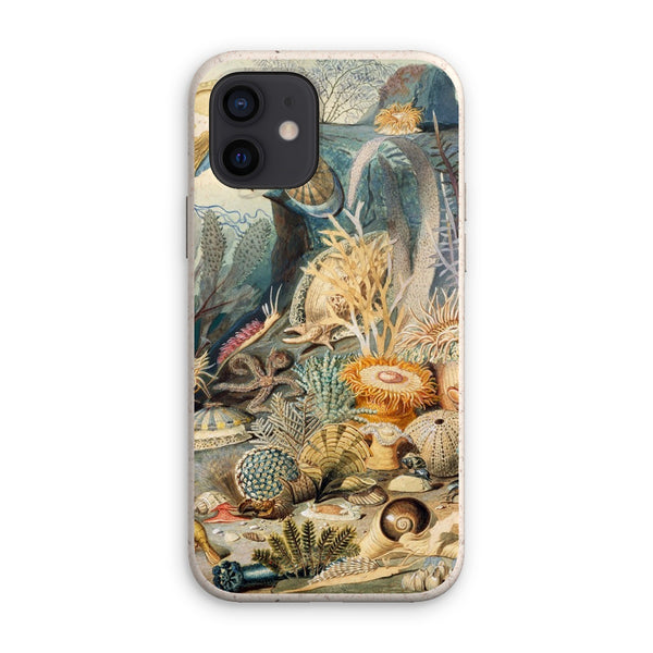 Ocean Life Eco Phone Case