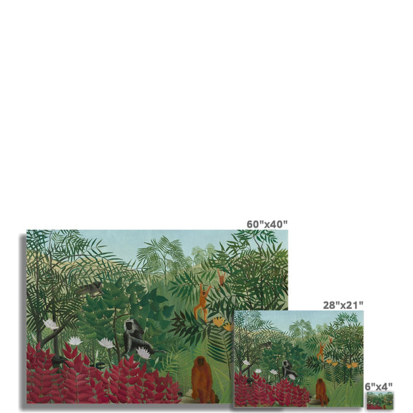 Tropical Forest & Monkeys Wall Art Poster