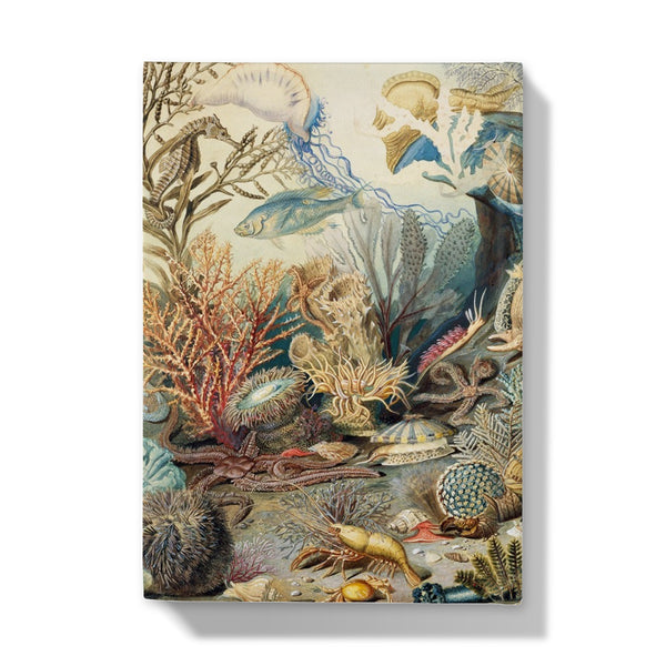 Ocean Life Hardback Journal