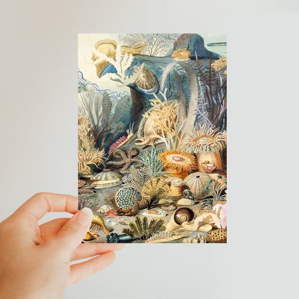 Ocean Life Classic Postcard