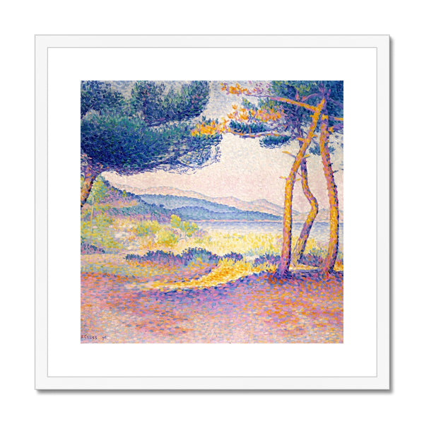 Pines Along the Shore Framed & Mounted Print