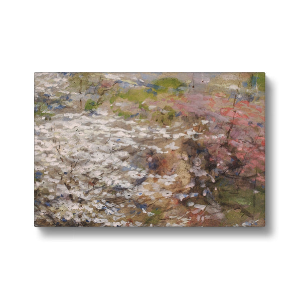 Field of Blossoms Canvas