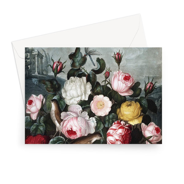 Roses Greeting Card