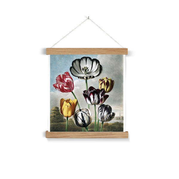 Tulips Fine Art Print with Hanger