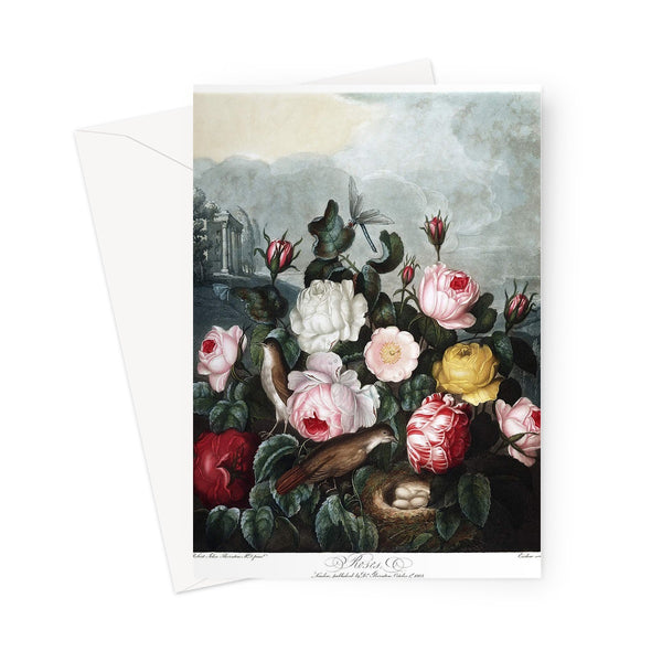 Roses Greeting Card