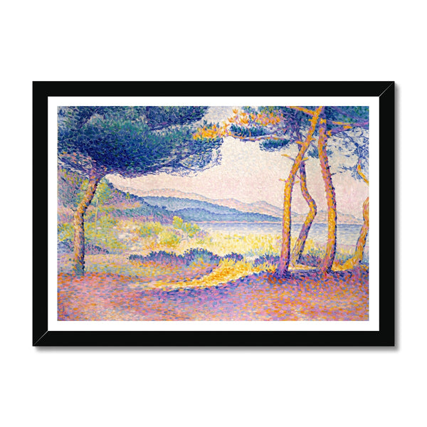 Pines Along the Shore Framed Print