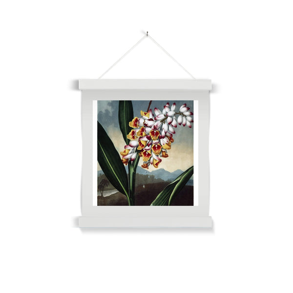 The Nodding Renealmia Fine Art Print with Hanger