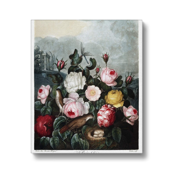 Roses Canvas