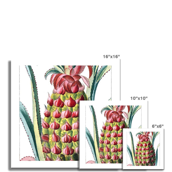 Pineapple Fine Art Print