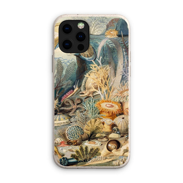 Ocean Life Eco Phone Case