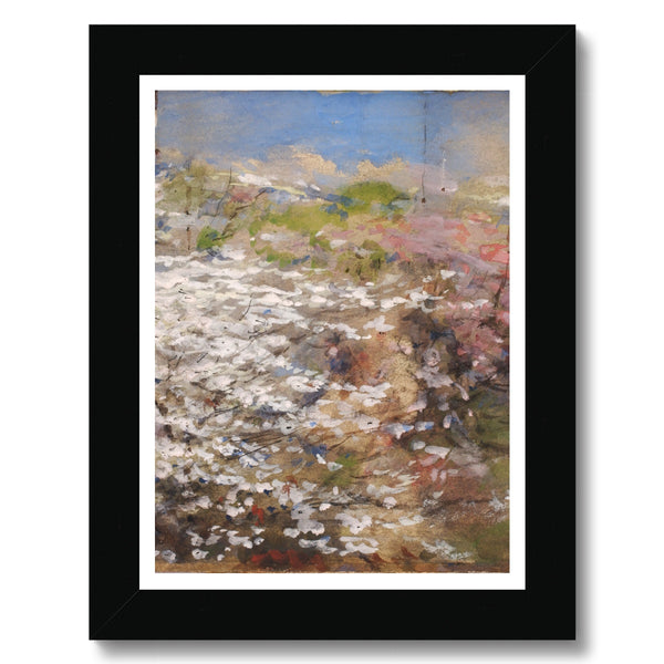 Field of Blossoms Framed Print