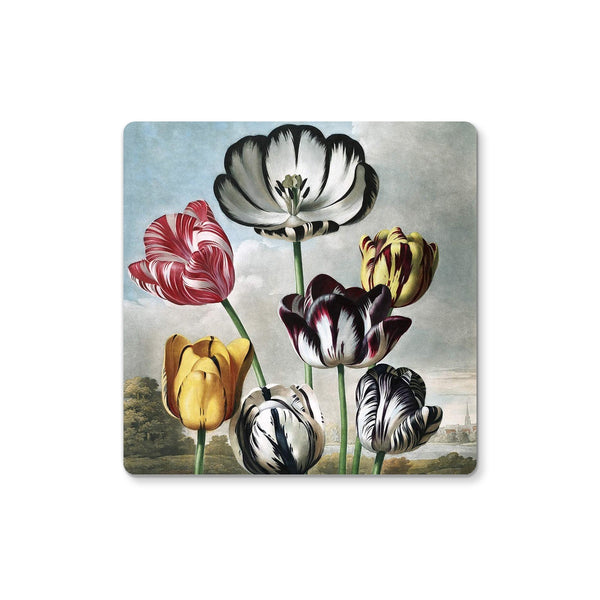 Tulips Coaster