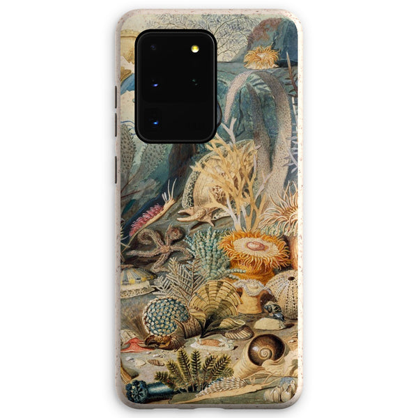 Ocean Life Eco Phone Case