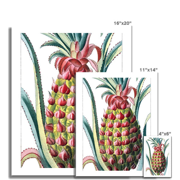 Pineapple Fine Art Print