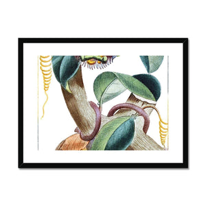 Lemons Framed & Mounted Print