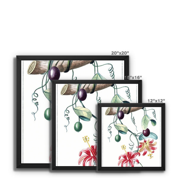 Passionvine Framed Canvas