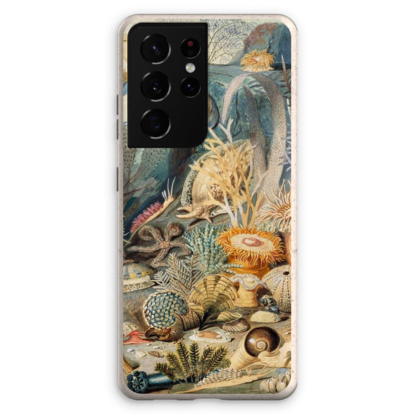 Ocean Life Eco Phone Case