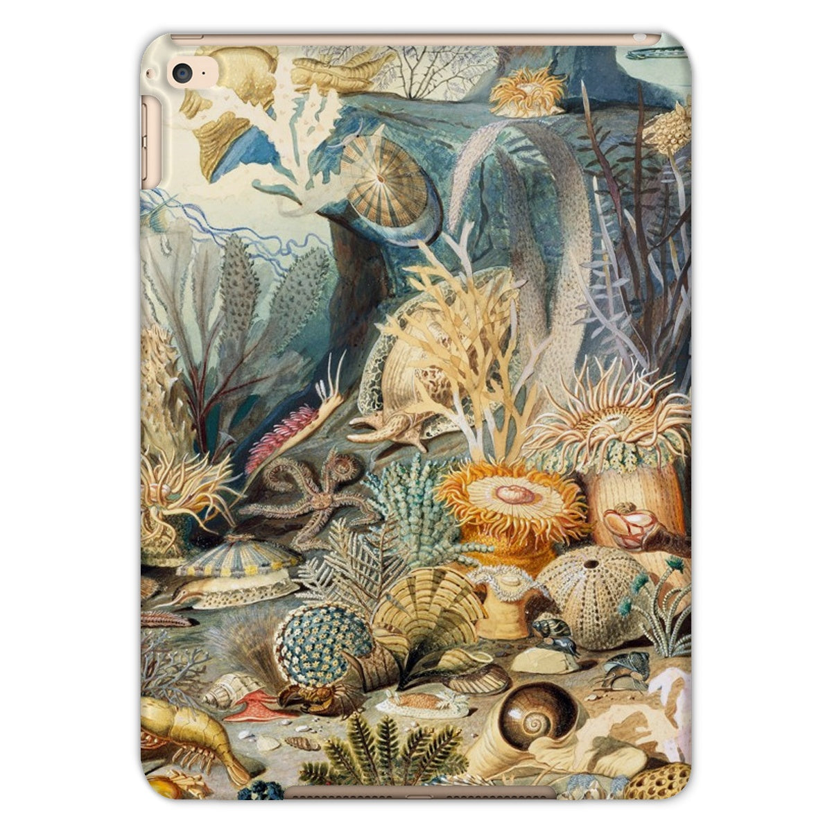 Ocean Life Tablet Cases