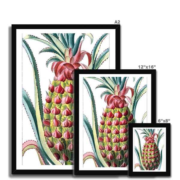 Pineapple Framed Print