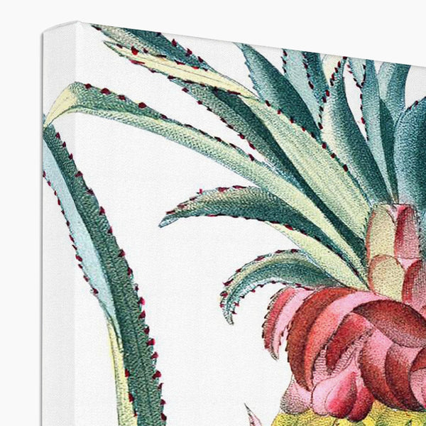 Pineapple Canvas