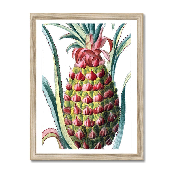 Pineapple Framed Print