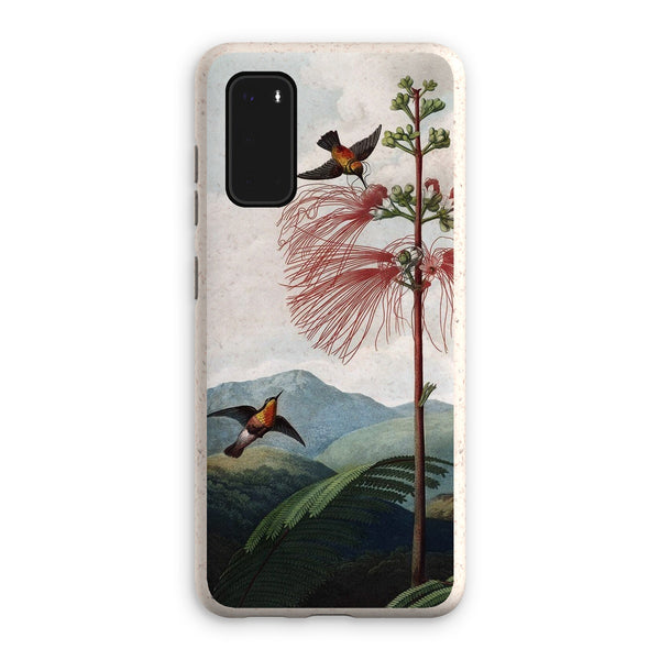 Calliandra Houstoniana Eco Phone Case