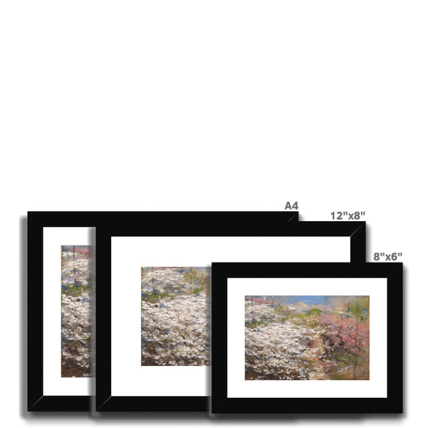 Field of Blossoms Framed & Mounted Print