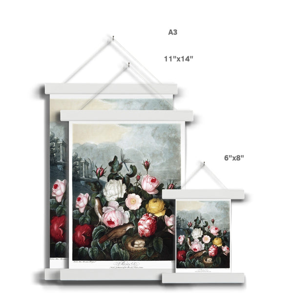 Roses Fine Art Print with Hanger