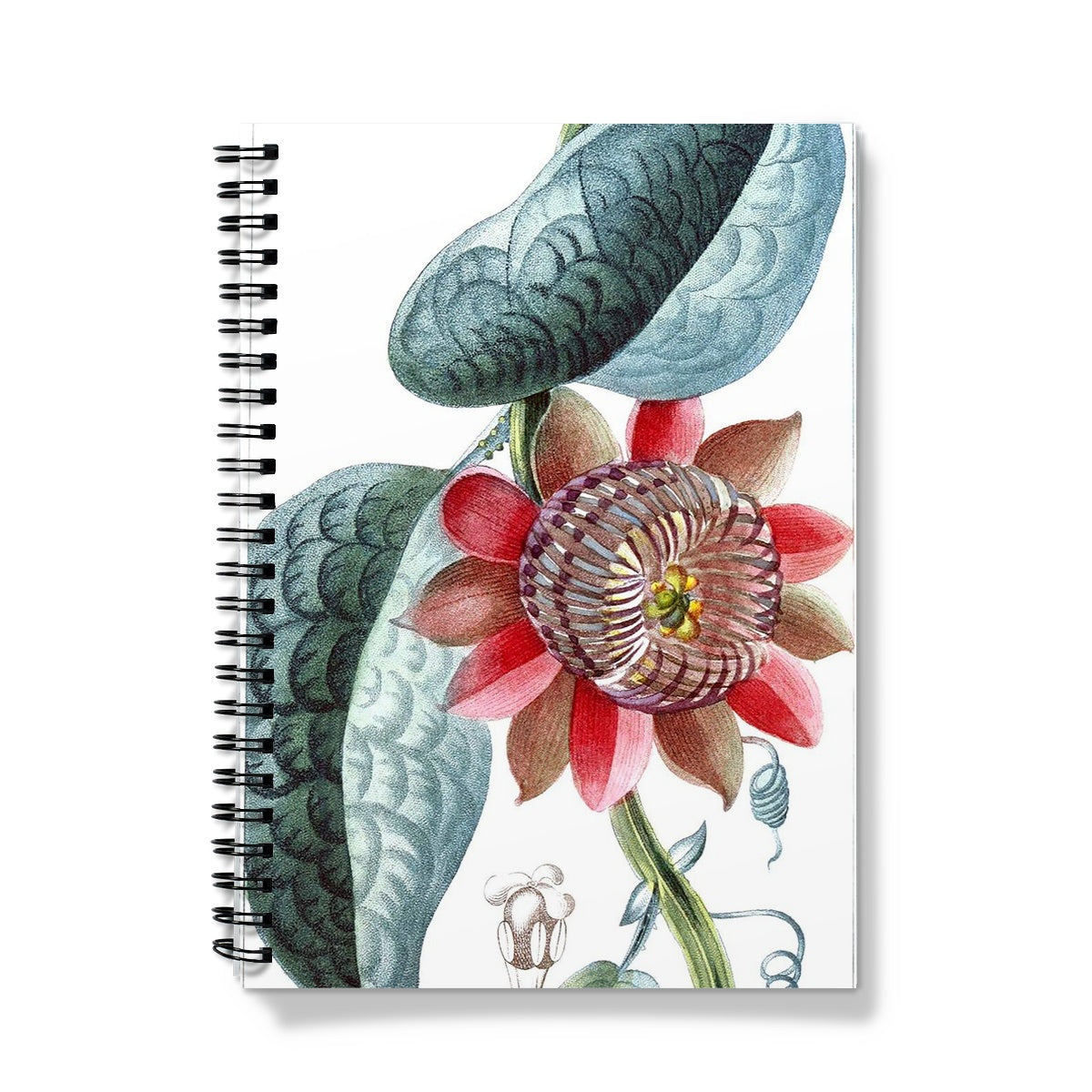 Giant Granadilla Notebook