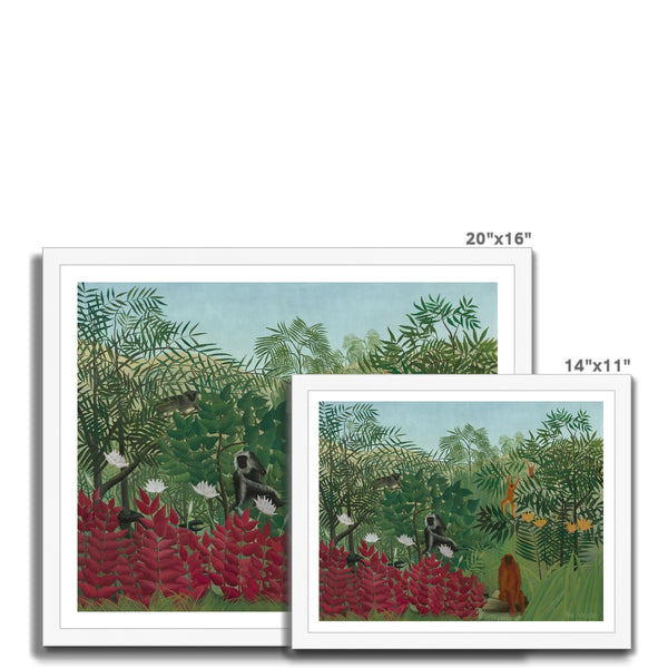 Tropical Forest & Monkeys Framed Print