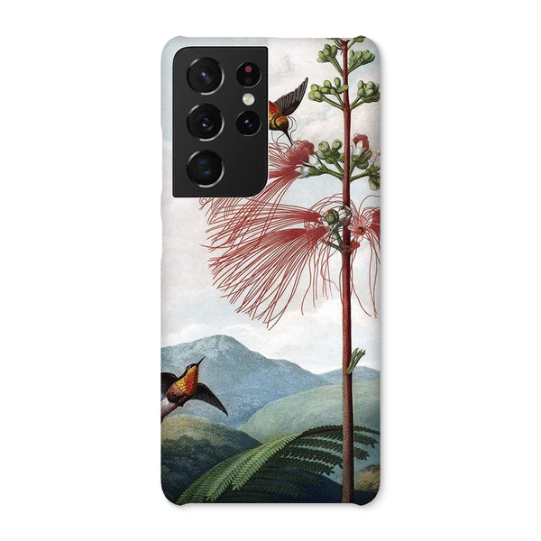 Calliandra Houstoniana Snap Phone Case