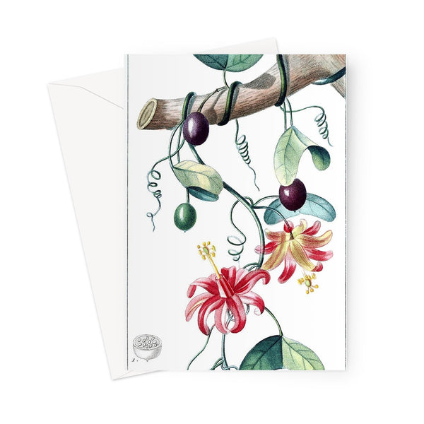 Passionvine Greeting Card