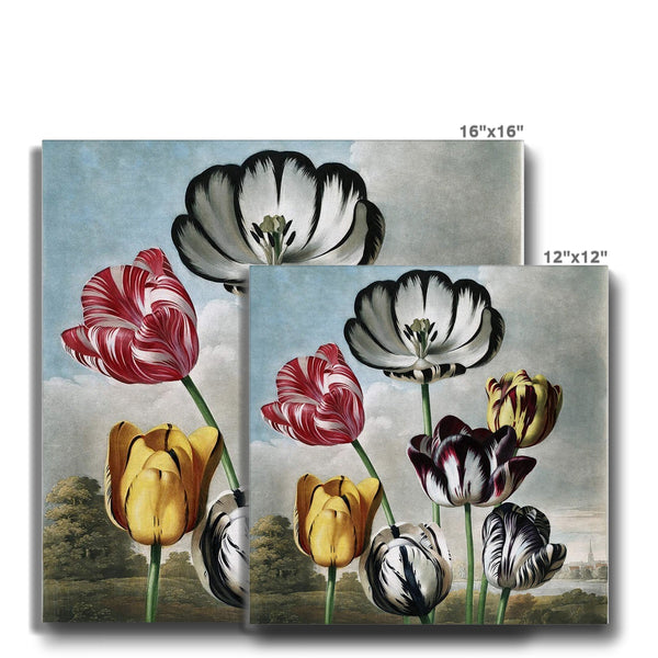 Tulips Canvas