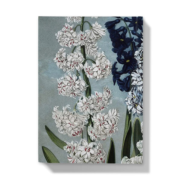 Hyacinths Hardback Journal