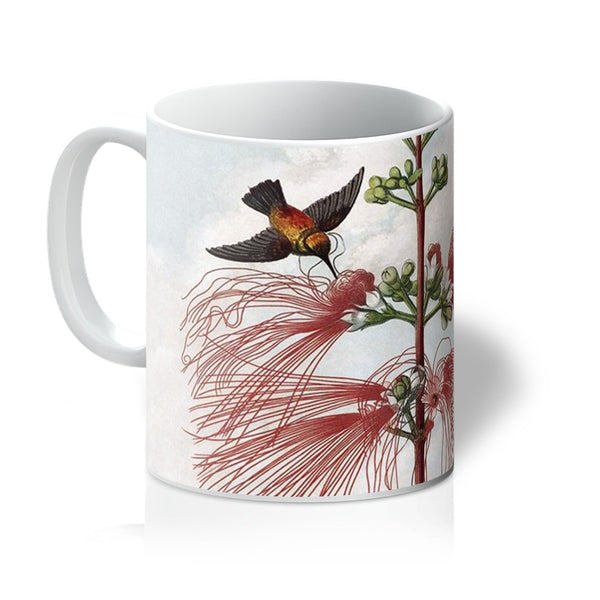 Calliandra Houstoniana Mug