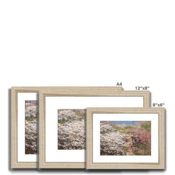 Field of Blossoms Framed & Mounted Print