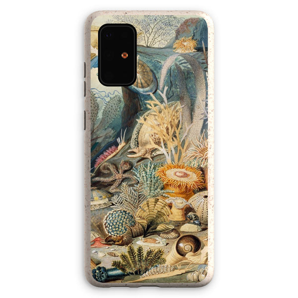 Ocean Life Eco Phone Case