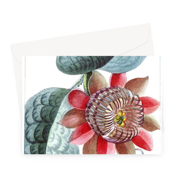 Giant Granadilla Greeting Card