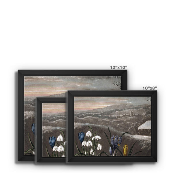 Snowdrops Framed Canvas