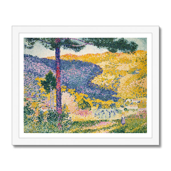 Shade on the Mountain Framed Print