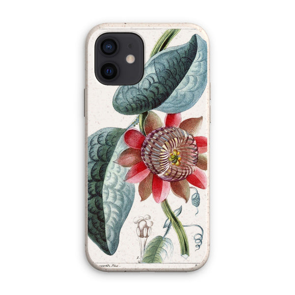 Giant Granadilla Eco Phone Case